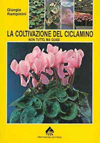 Manuale di coltivazione del ciclamino 1991