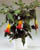 Acquista scheda di coltivazione Brugmansia specie disponibile su CD-ROM