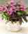Acquista scheda di coltivazione Catharanthus roseus disponibile su CD-ROM
