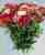 Acquista scheda di coltivazione Dianthus barbatus disponibile su CD-ROM